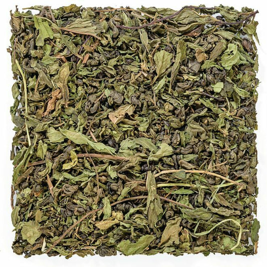 Organic Marrakesh Mint